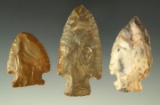 Set of three assorted arrowheads found in Colbert County Alabama - Chris Willson collection.