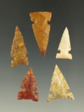 Set of five nicely crafted Sidenotch points found in Kansas, largest is 1 3/16