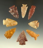 Group of eight nice arrowheads found in Kansas, largest is 1 1/2