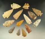 Set of 14 assorted arrowheads found in the Plains region. Largest is 2 5/16