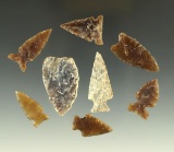 Set of eight arrowheads made from Knife River Flint found in the Dakotas.