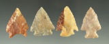 Set of four nice arrowheads - Plains region, one is made from Highly translucent agate.