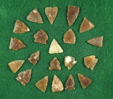 Group of 20 small arrowheads found in the Dakotas, largest is 11/16