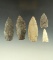 Set of five Ohio arrowheads, several are Paleo. Largest is 2 1/2