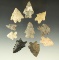 Set of 10 assorted Bifurcate arrowheads found in Ohio, largest is 1 9/16