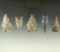 Set of five nice Ohio arrowheads, largest is 2 1/8