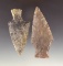 Very nice pair of Ashtabula points found in Ohio, largest is 3 3/8