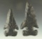 Pair of restored Archaic Bevels made from Coshocton flint - found in Ohio. Largest is 3 3/8