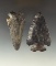 Pair of Coshocton Flint Archaic Bevels found in Ohio, largest is 2 13/16