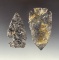 Pair of thin and well styled Coshocton Flint arrowheads found in Ohio, largest is 2 13/16