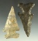 Pair of Archaic Thebes Bevel points in great condition found in Ohio. Largest is 2 3/4
