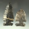 Pair of Archaic Sidenotch Points made from Coshocton Flint in nice condition. Largest is 3 11/16