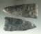 Excellent pair of Coshocton Flint Archaic Blades found in Lorain Co., Ohio. Largest is 3 7/8