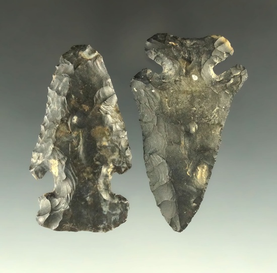 Pair of Coshocton Flint Archaic Bevels found in Ohio, largest is 2 1/2".