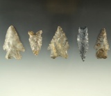 Set of five nice Ohio arrowheads, largest is 2 1/8