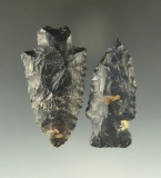 Pair of Coshocton Flint Heavy Duty points found in Ohio, largest is 2 5/16