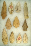 Set of 11 assorted Midwestern arrowheads and Knives, largest is 4 3/8