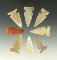 Excellent set of 8 sidenotch arrowheads found in the Plains region, largest is 1 3/16