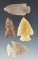 Nice set of four attractive High Plains arrowheads, largest is 1 5/8
