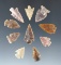 Group of 10 assorted arrowheads found in the Western U. S., Largest is 15/16