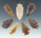 Set of seven assorted High Plains arrowheads in various styles and materials, largest is 1 5/8