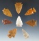 Set of eight High Plains arrowheads made from nice materials in good condition.