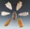 Set of seven High Plains arrowheads in nice condition, largest is 1 13/16