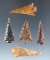 Set of five attractive Columbia River arrowheads and very good condition, largest is 1 3/8