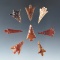 Set of eight assorted Columbia River arrowheads, largest is 1