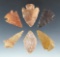 Set of six assorted arrowheads found in the Western U. S. Largest is 1 3/4