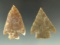 Pair of Marshall points  found in Texas from the collection of Wallace Culpepper & James Ferrell .