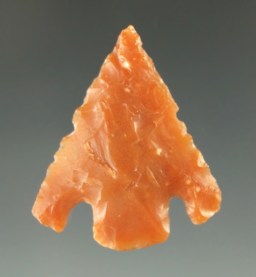 1 1/4" beautifully shaped Shumla point made from attractive pink material found in Texas.