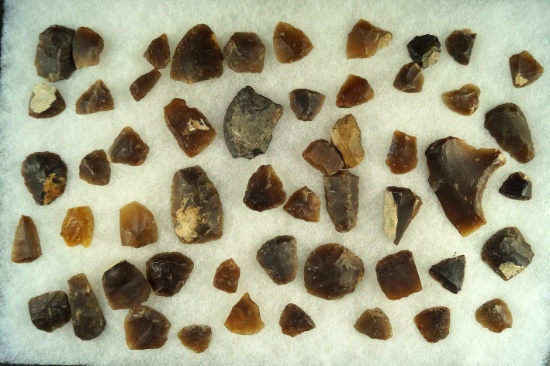 Large group of mostly Knife River Flint thumb scrapers and tools found in the Dakotas.