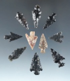 Set of 10 assorted arrowheads found near Fort Rock Oregon, largest is 7/8