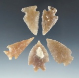 Set of five High Plains arrowheads made from highly translucent materials, largest is 1 9/16