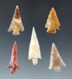 Set of five nice Columbia River arrowheads, all are in very nice condition. Largest is 1 1/2