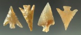 Set of four Columbia River Gempoints made from high-quality translucent material.