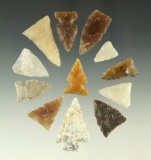 Set of 12 assorted High Plains region arrowheads, largest is 1 1/8