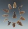 Set of 12 arrowheads, most are made from knife River Flint. Largest is 1 1/16