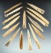 Excellent group of 15 Arikara bone artifacts found in the Dakotas, largest is 4 3/16