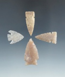 Four exceptional examples of High Plains arrowheads, largest is 1 5/16