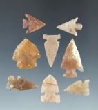 Group of eight attractive High Plains arrowheads made from nice material, largest is 1 1/8