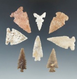 Set of eight Arizona arrowheads, largest is 1 3/8