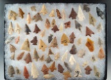 Large assortment of Birdpoints found in Eastern Texas, largest is 1 5/16