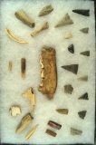 Group of assorted Flint and bone artifacts found at the Riker site in Tuscarawas County Ohio.