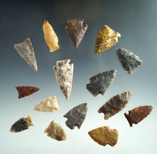 Set of 15 assorted arrowheads found in Merriman Co., Nebraska. Largest is 1 7/16" Ex. Bob Roth.