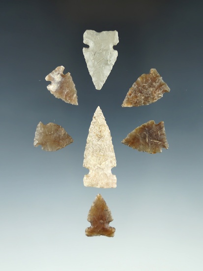 Set of seven arrowheads found in North Dakota, largest is 1 9/16".