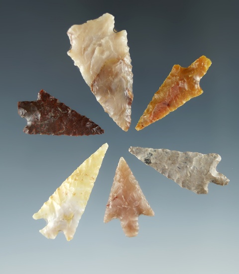 Set of six Columbia River arrowheads found in Washington, largest is 1 5/16".