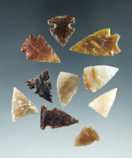 Set of 11 assorted arrowheads found in the High Plains region, largest is 1 1/16".