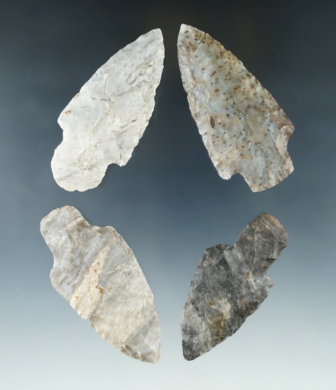 Set of four Adena arrowheads found in northern Ohio, largest is 2 13/16".